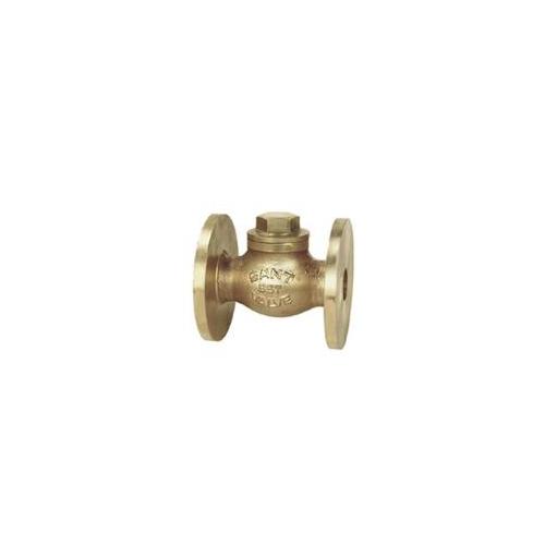 Sant Bronze Horizontal Life check Valve Renewable Disc 50 mm, IBR 3C